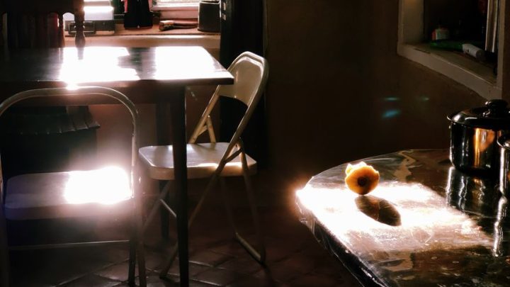kitchen counter morning sunlight