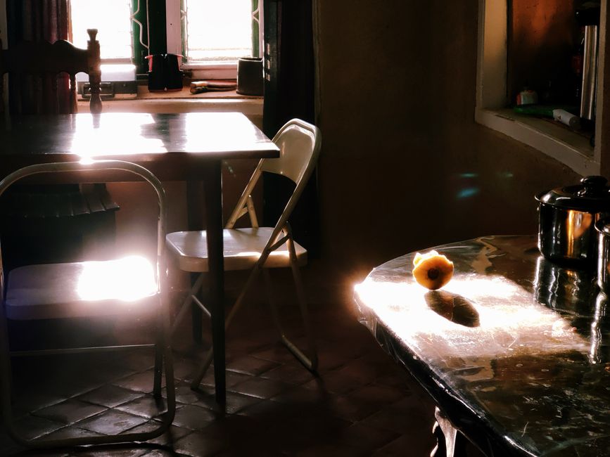 kitchen counter morning sunlight