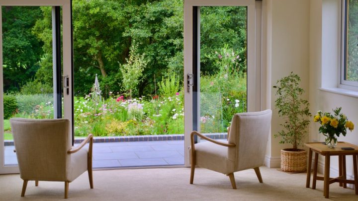 sunny living room armchair