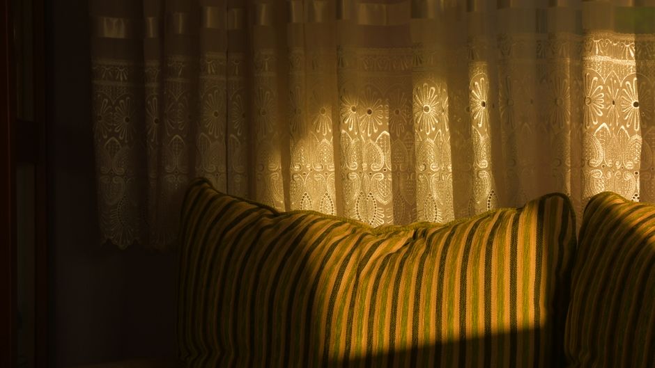 cozy living room afternoon light