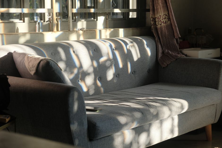 cozy living room afternoon light